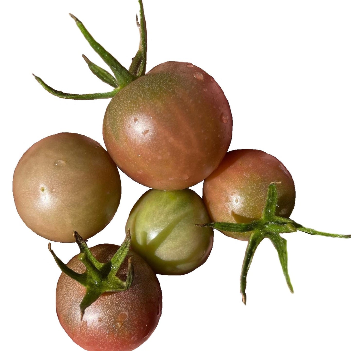 Black Cherry Tomato 25 Seeds