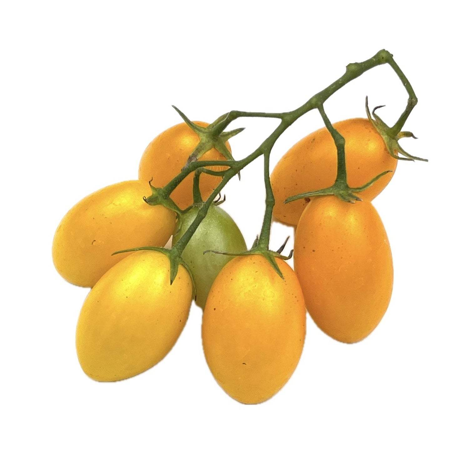 Baby Yellow Romanella Tomato 25 Seeds
