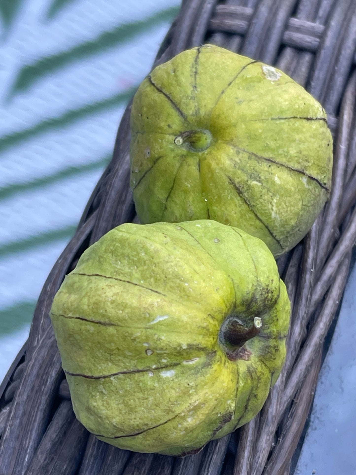 Toma Verde Tomatillo 50 Seeds