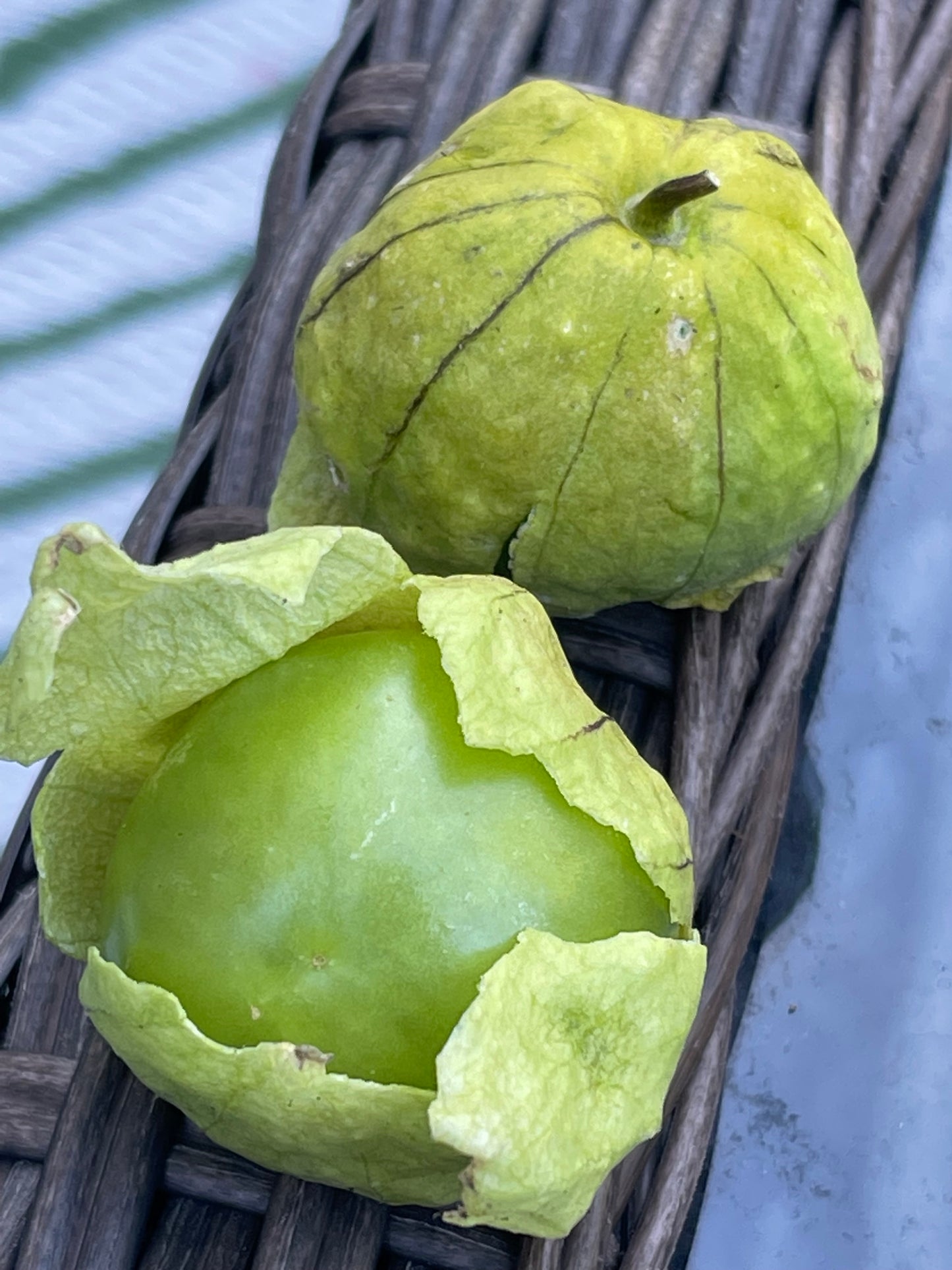 Toma Verde Tomatillo 50 Seeds