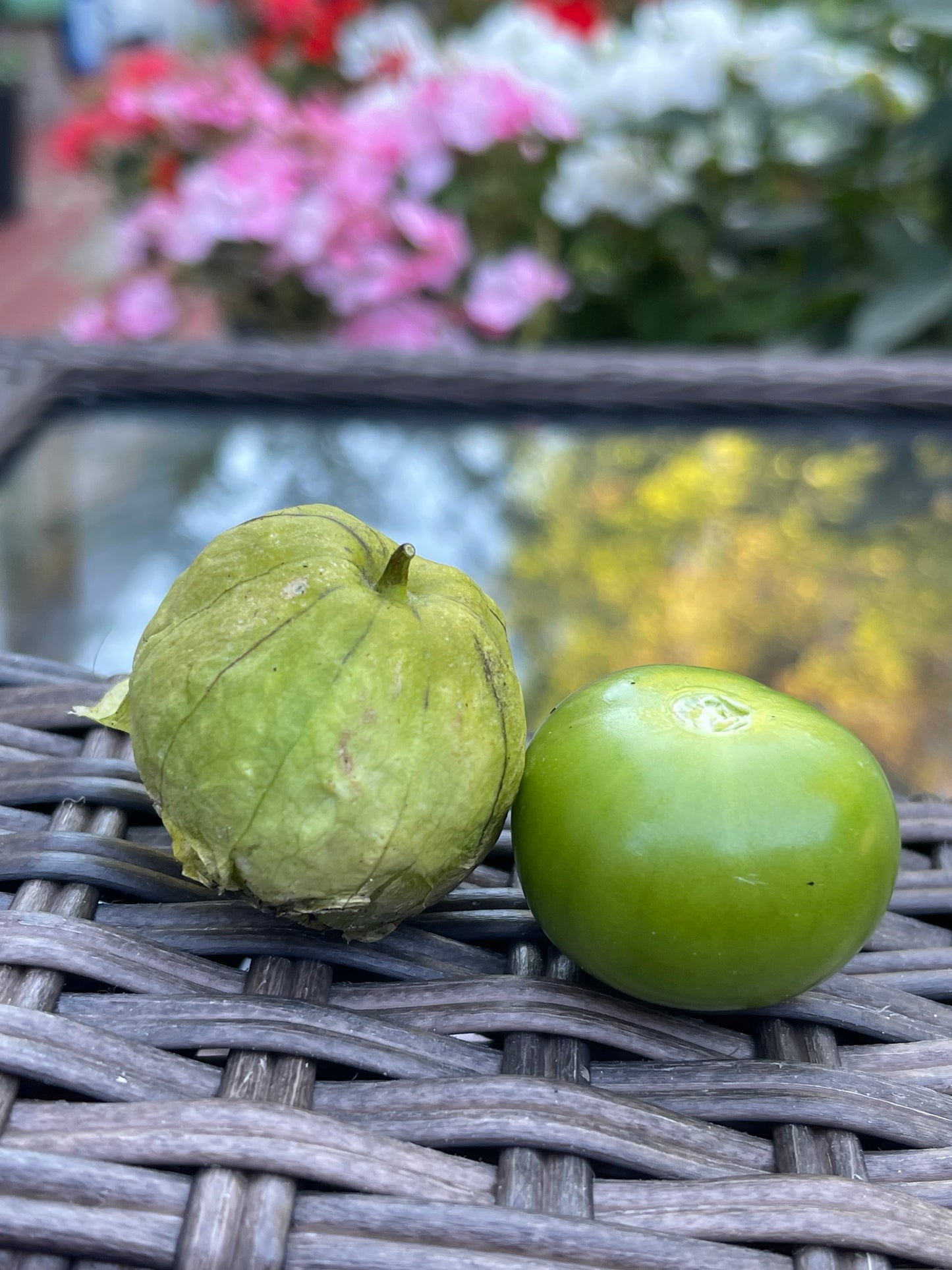 Toma Verde Tomatillo 50 Seeds