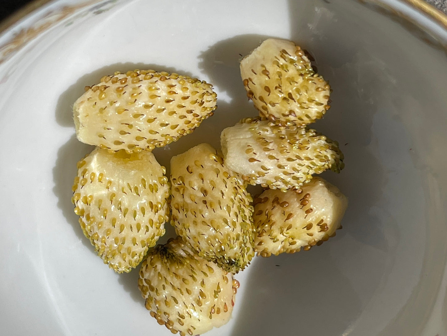 Yellow Wonder Alpine Strawberry 100 Seeds