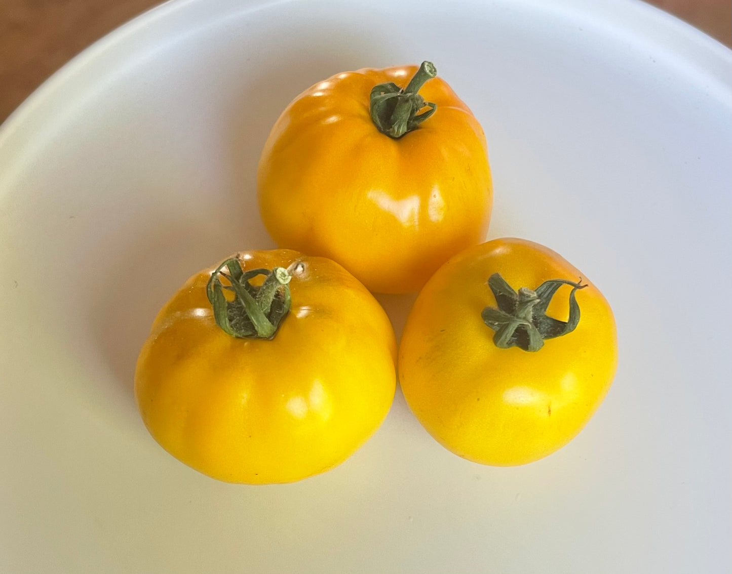 Golden Klusha Tomato 25 Seeds
