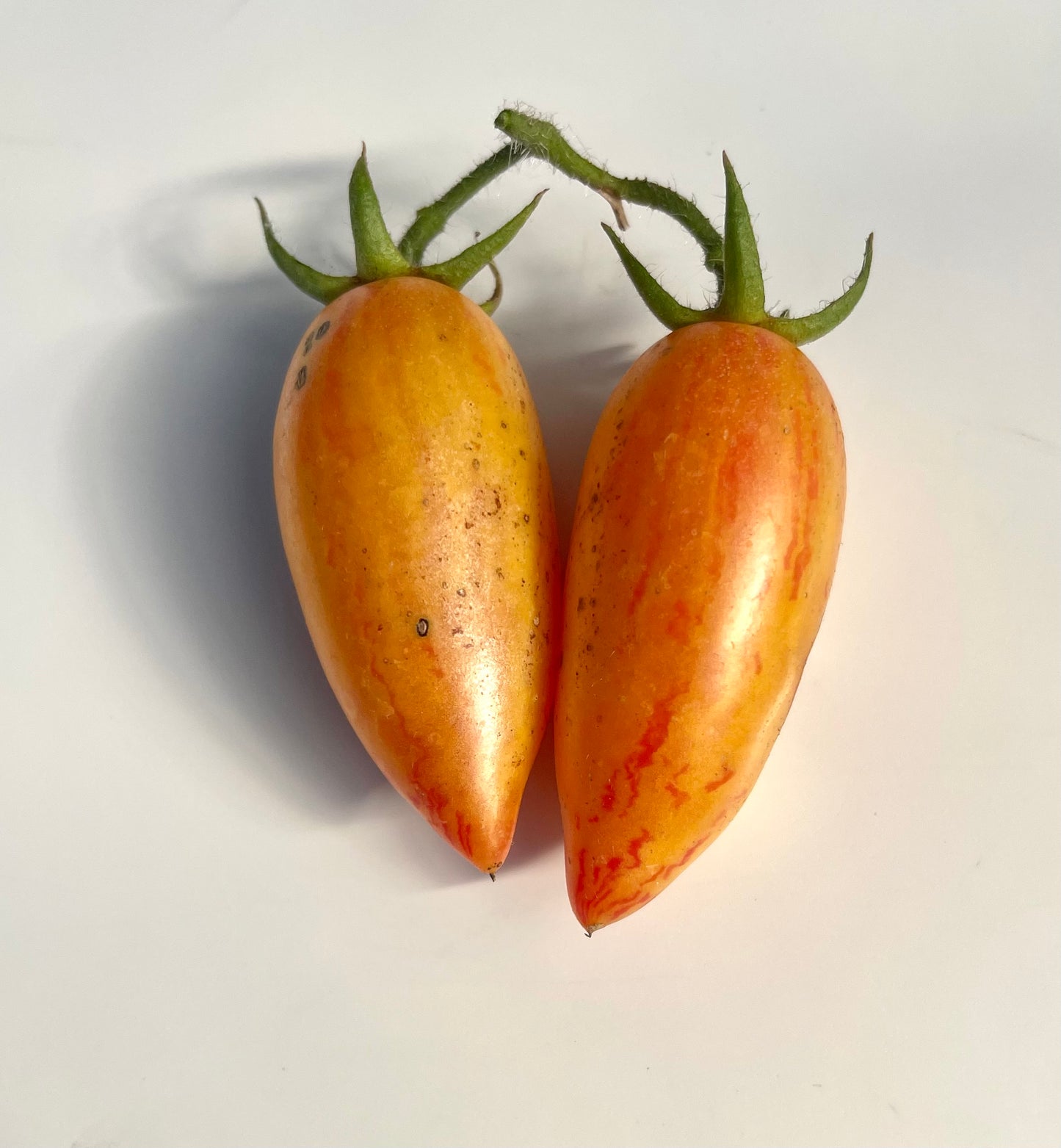 Sweet Cream Tomato 20 Seeds