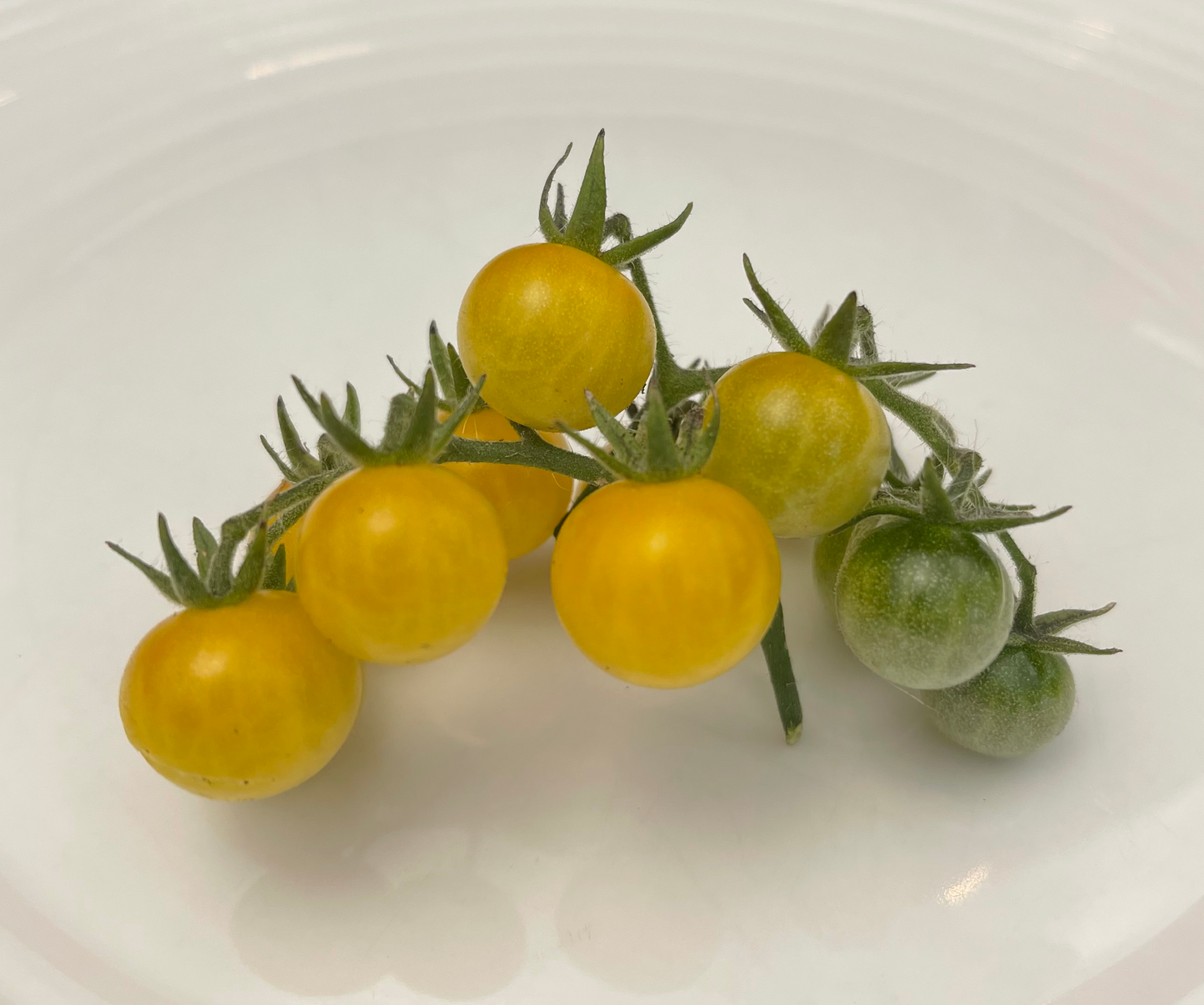 White Currant Tomato 25 Seeds