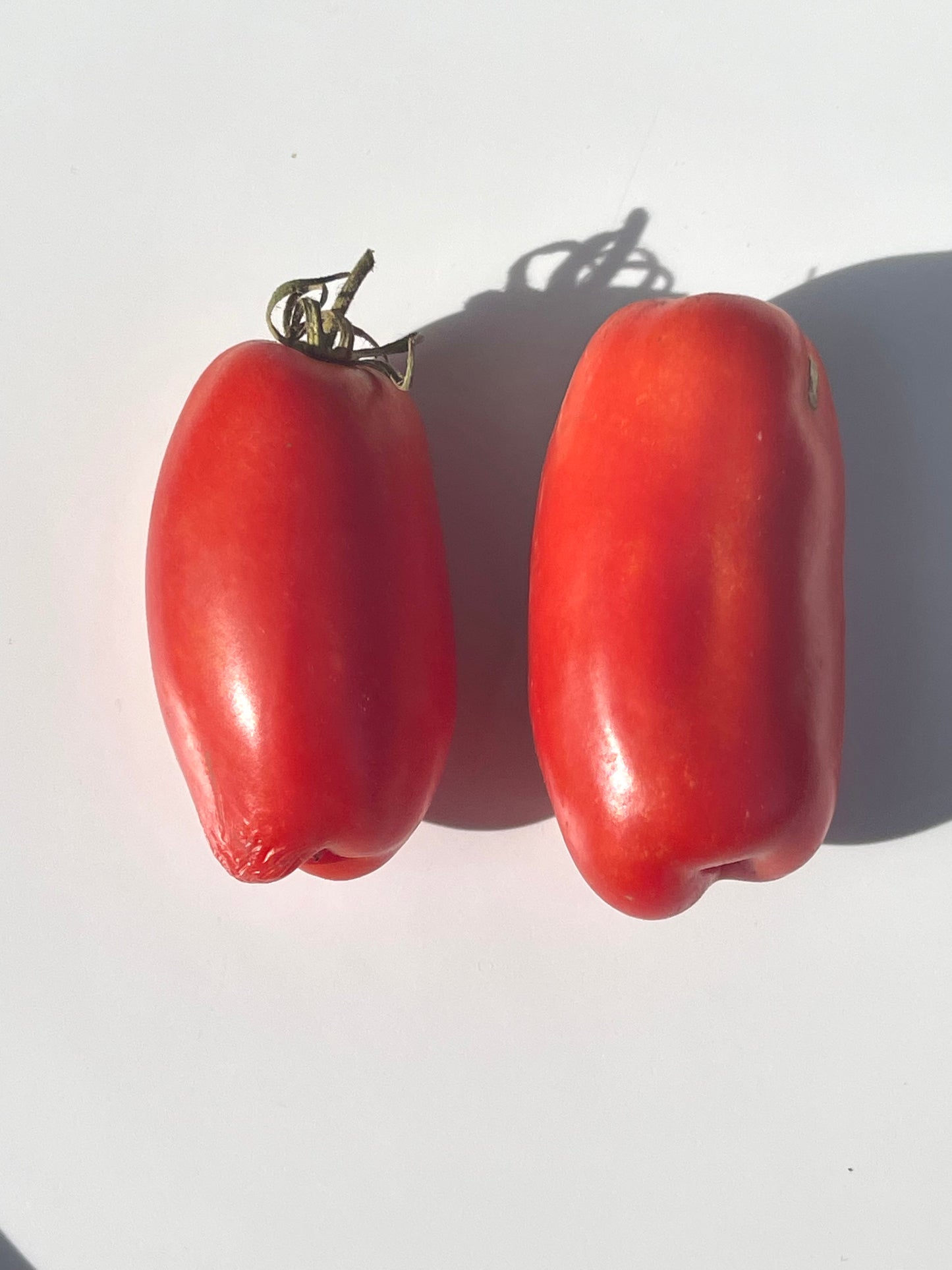Firewood Tomato 20 Seeds