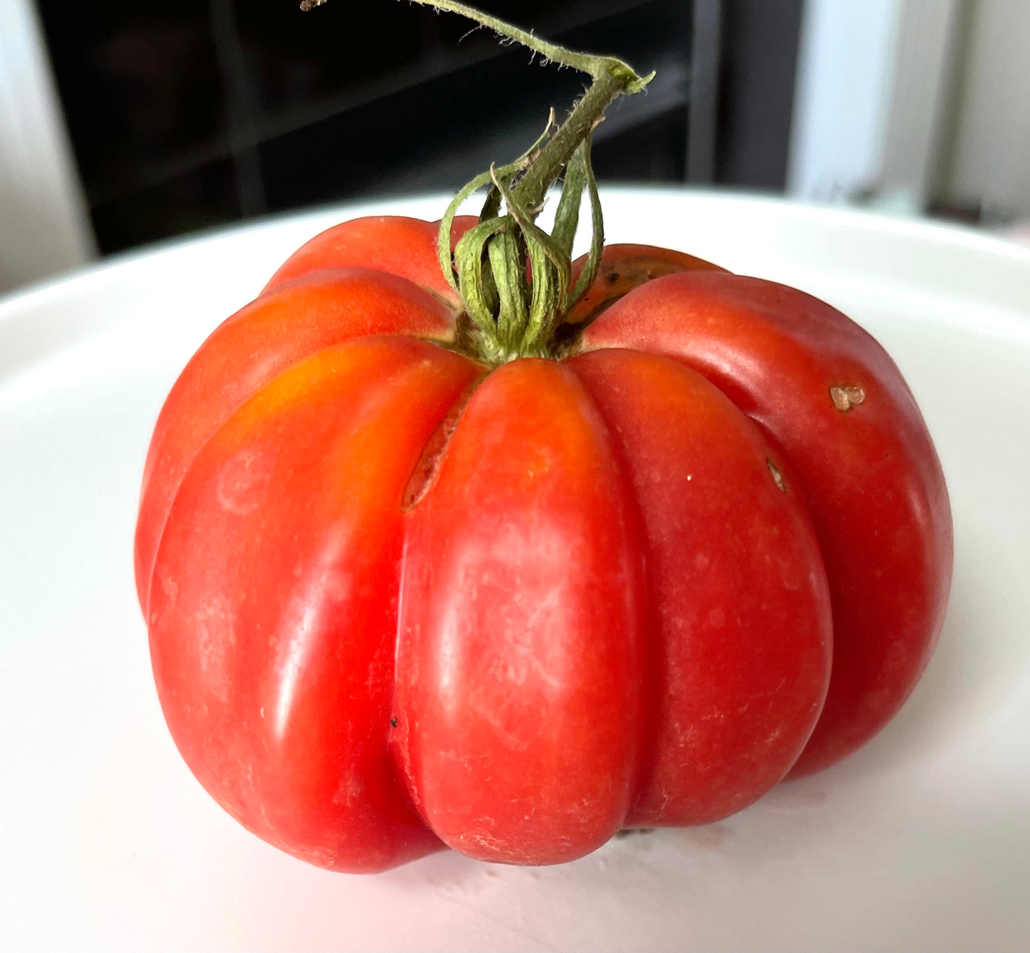 Mushroom Basket Tomato 10 Seeds