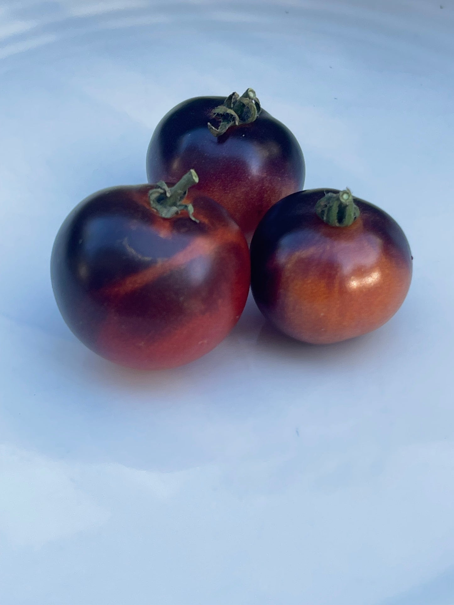 Tartufo Micro Dwarf Tomato 20 Seeds
