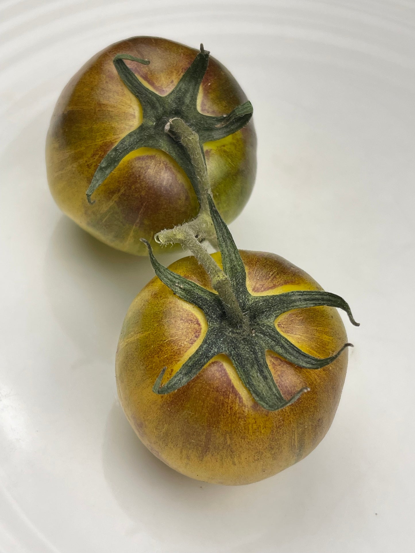 Primary Colours Tomato 20 Seeds
