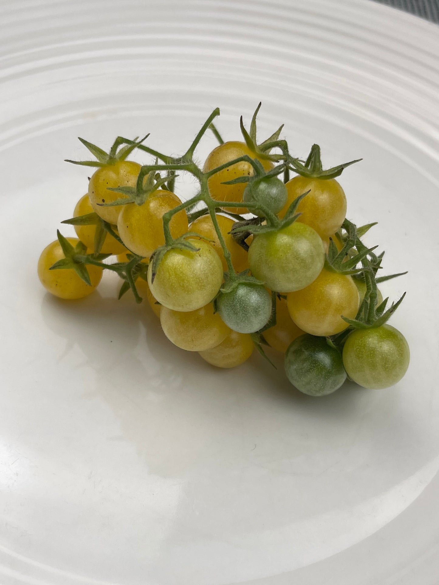 White Currant Tomato 25 Seeds