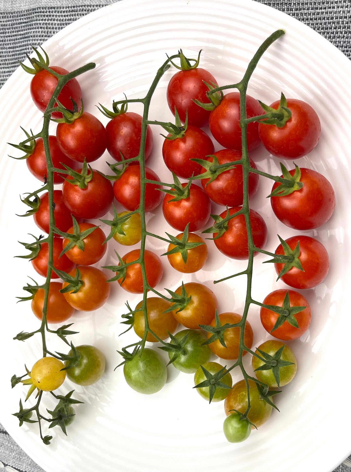 Rapunzel Tomato 25 Seeds