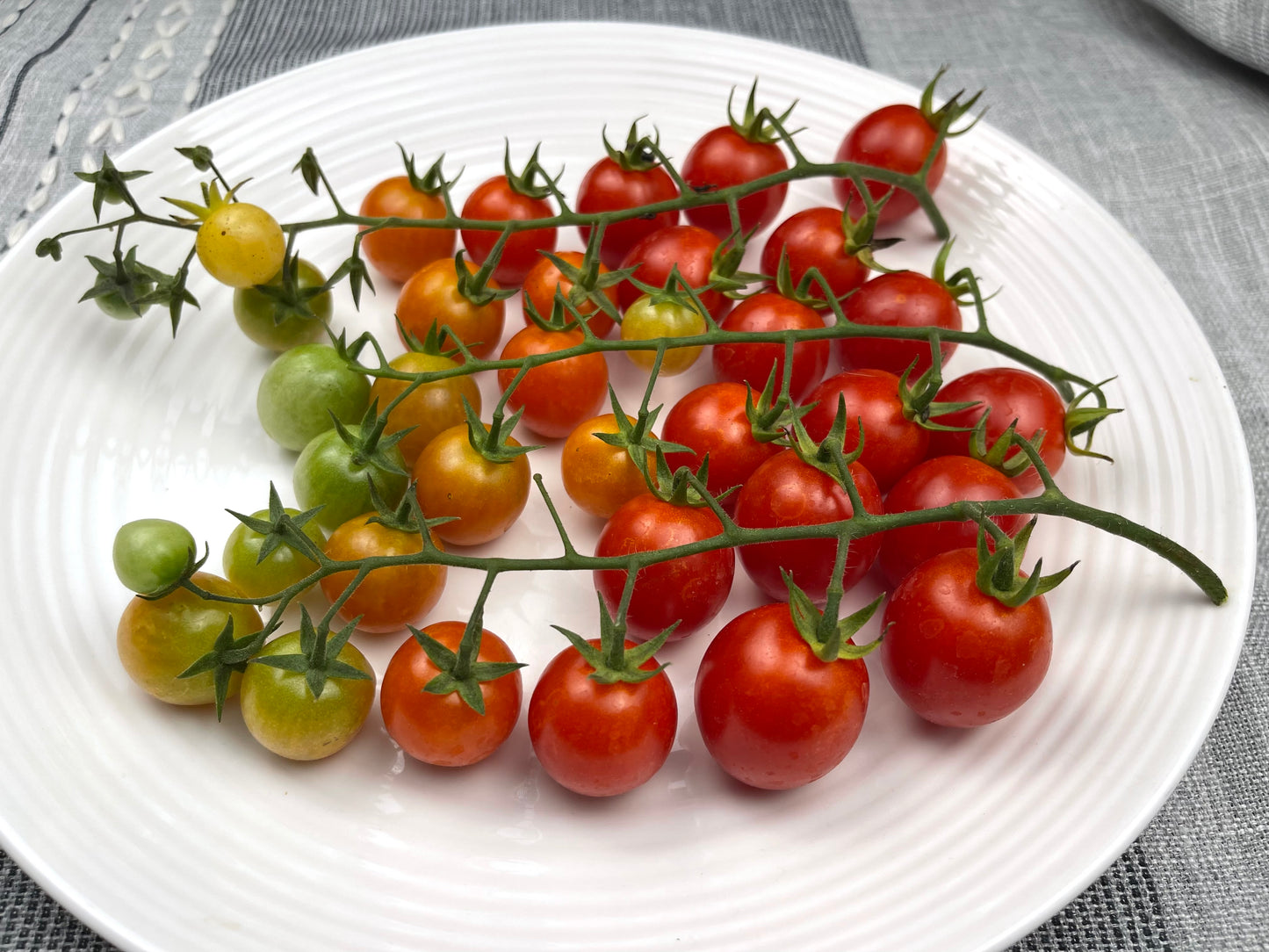 Rapunzel Tomato 25 Seeds