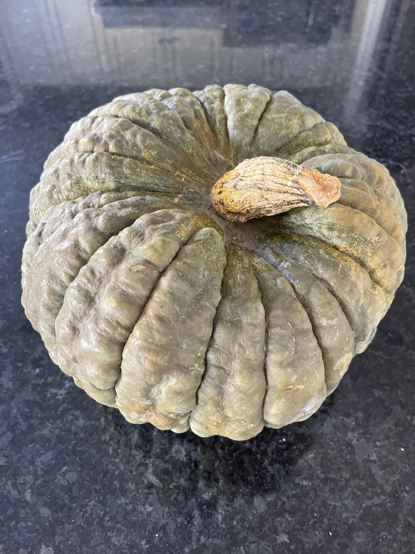 Marina Di Chioggia Italian Winter Squash 20 Seeds