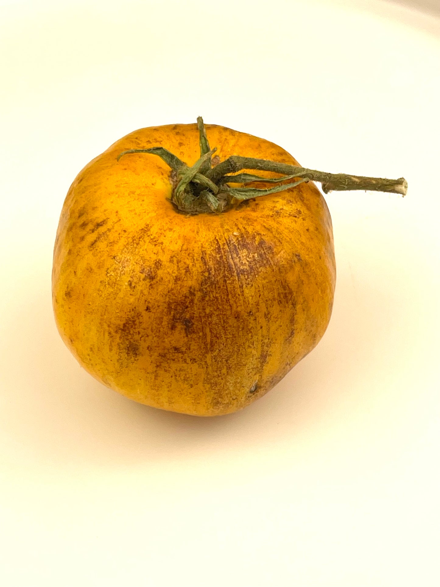 Primary Colours Tomato 20 Seeds