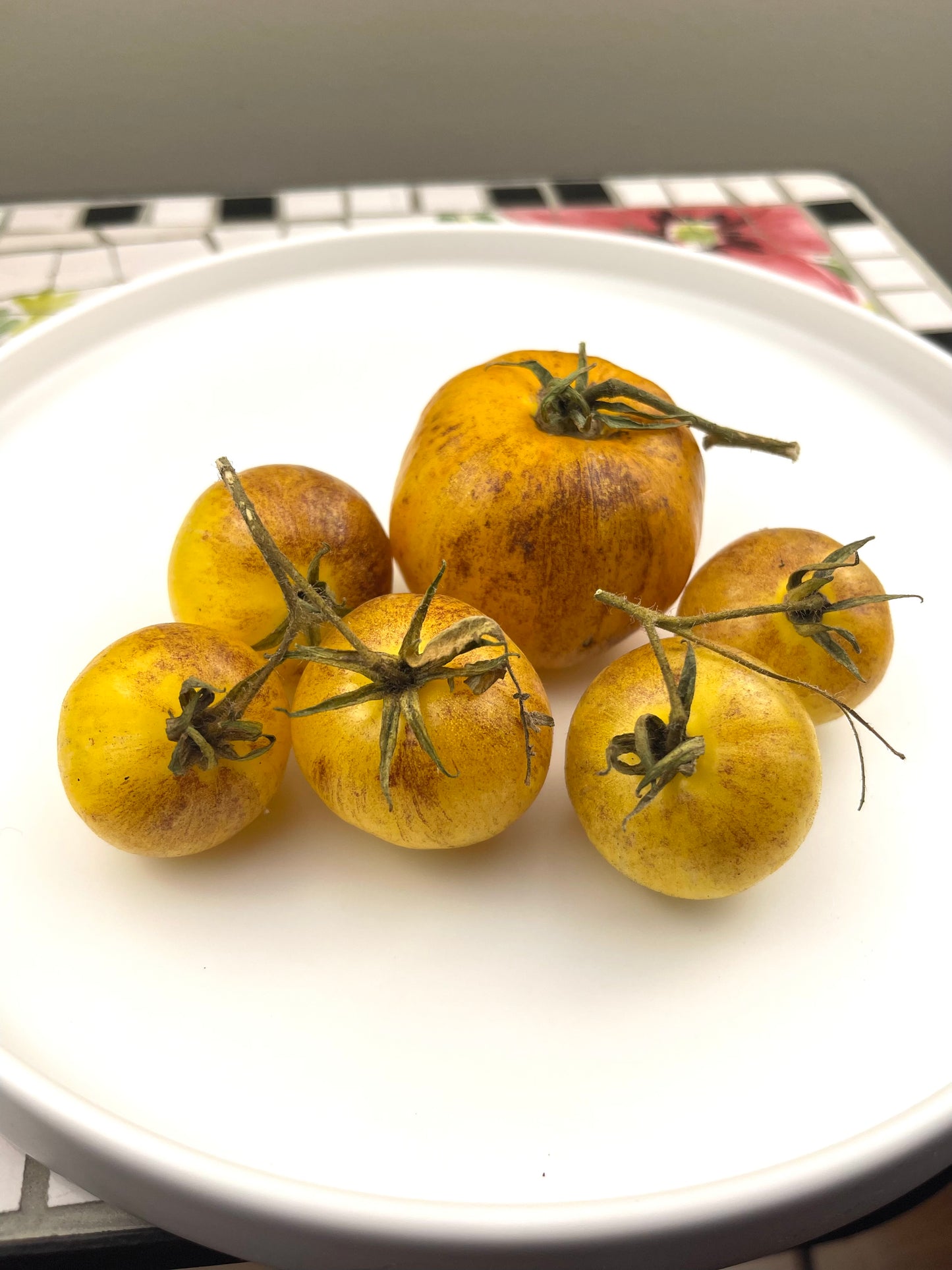Primary Colours Tomato 20 Seeds