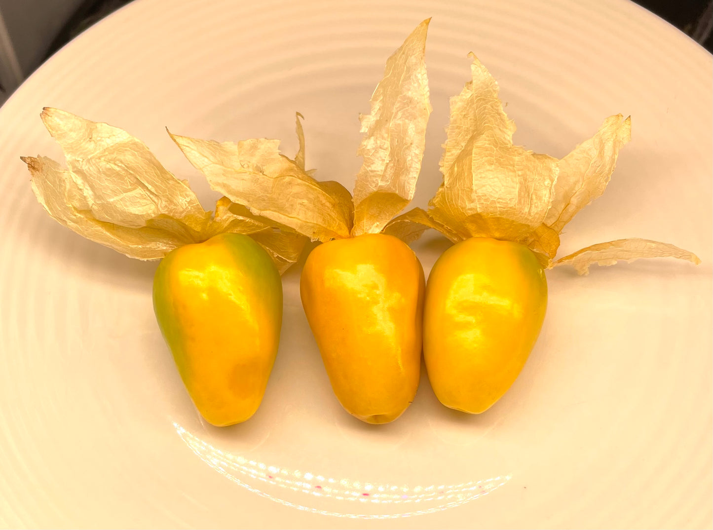 Chupon De Malinalco Tomatillo 15 Seeds