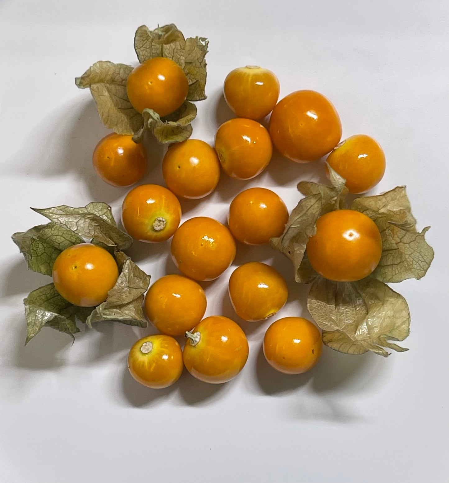 Peruvian Physalis - Cape Gooseberry 50 Seeds
