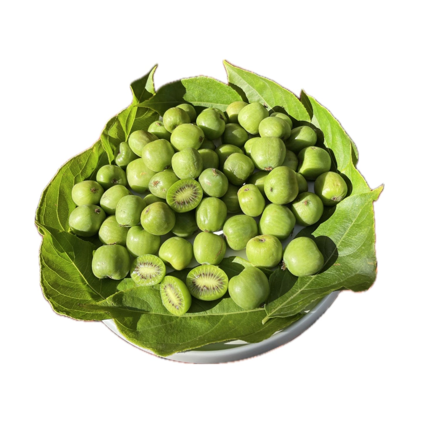 Hardy Kiwi Berry 50 Seeds
