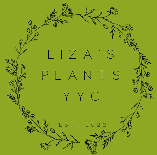 LIZA'S PLANTS YYC