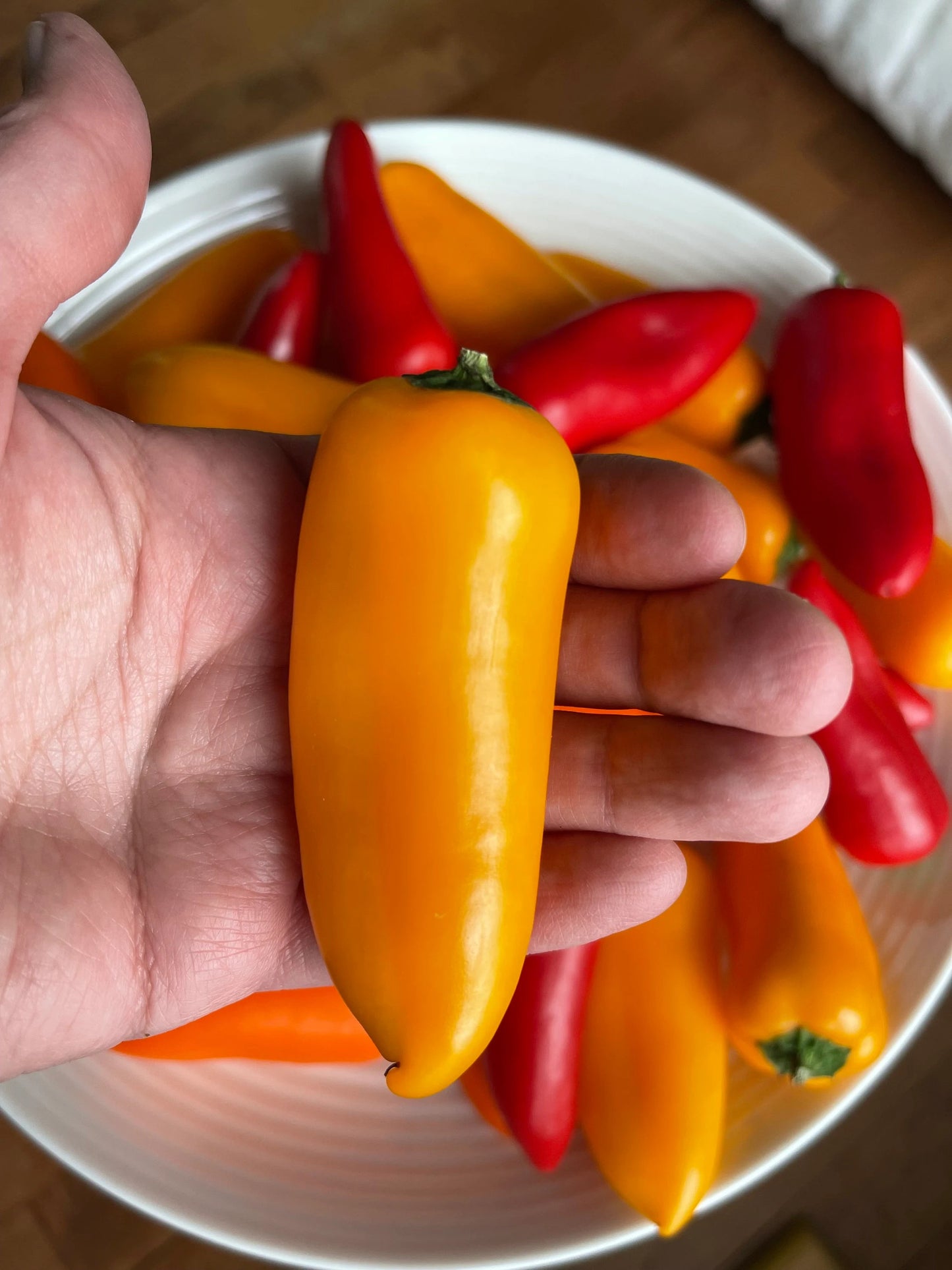 Lunchbox Pepper 50 Seeds