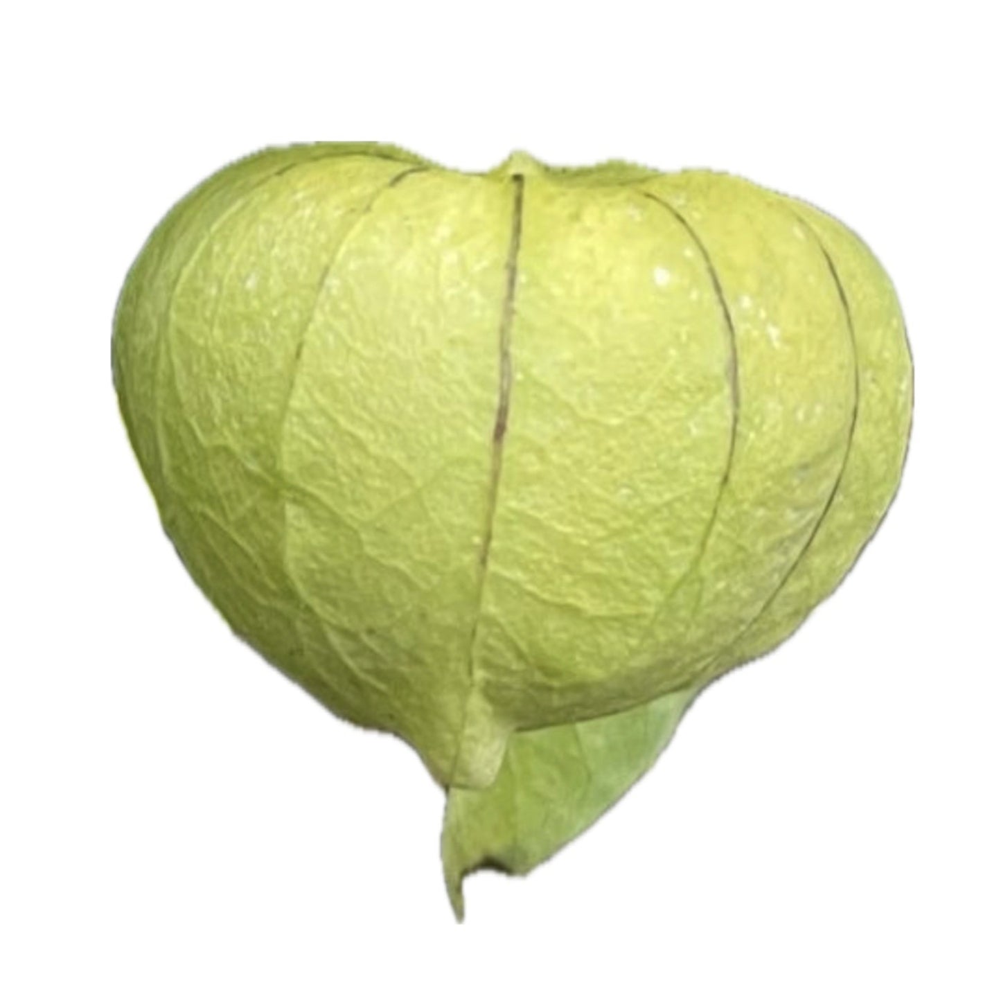 Toma Verde Tomatillo 50 Seeds