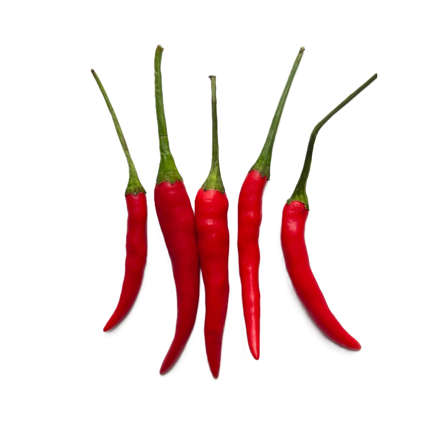 Thai Chili Pepper 50 Seeds