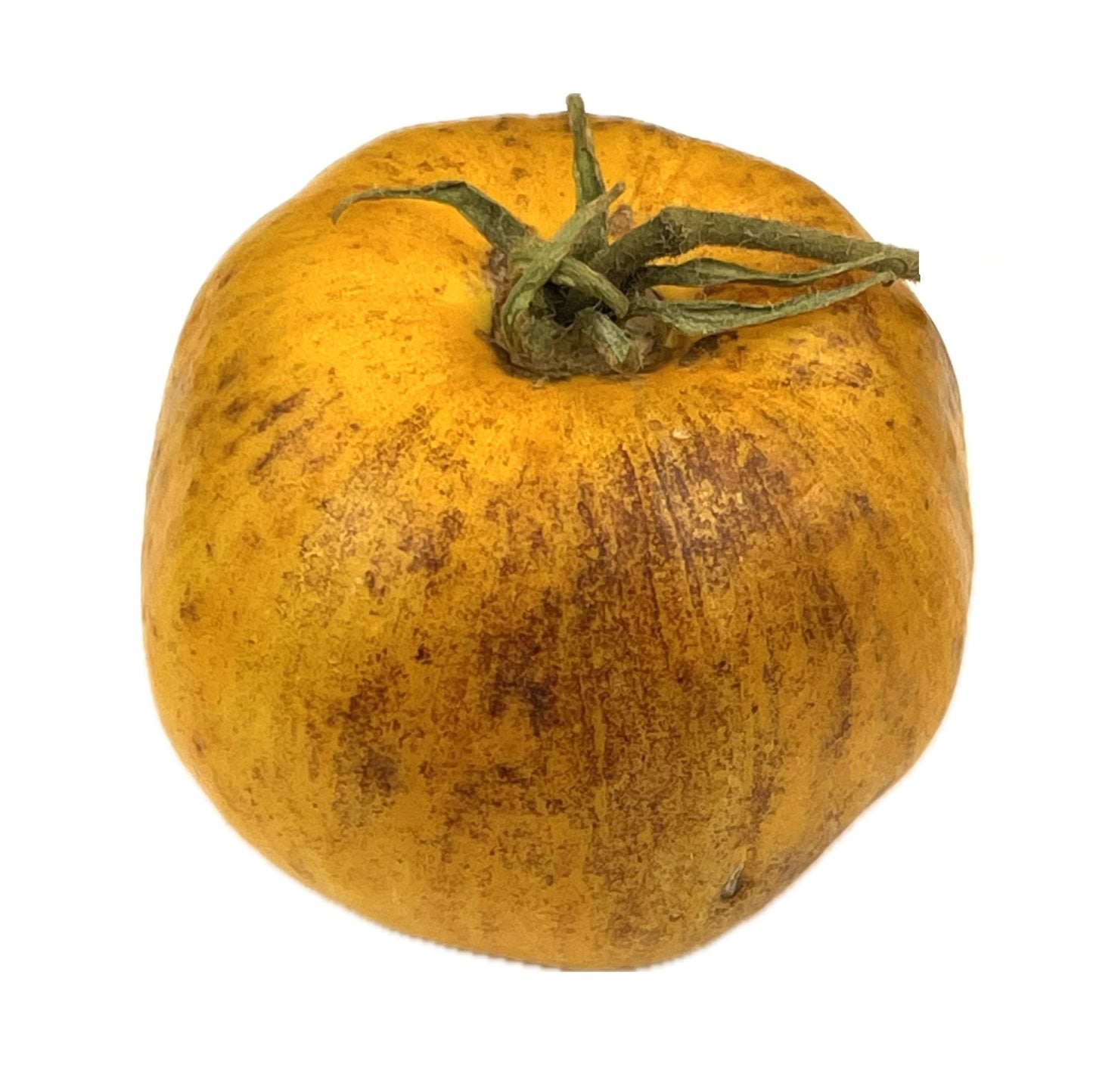 Primary Colours Tomato 20 Seeds