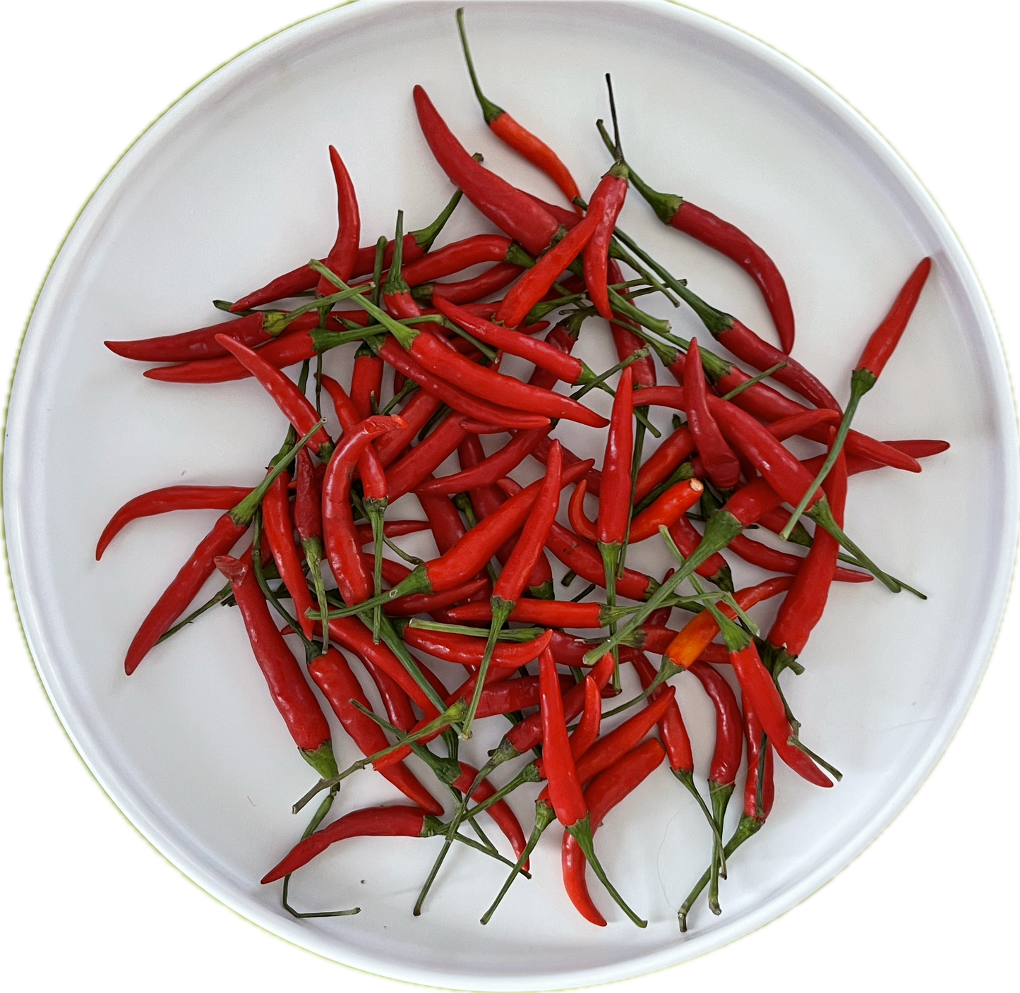 Thai Chili Pepper 50 Seeds