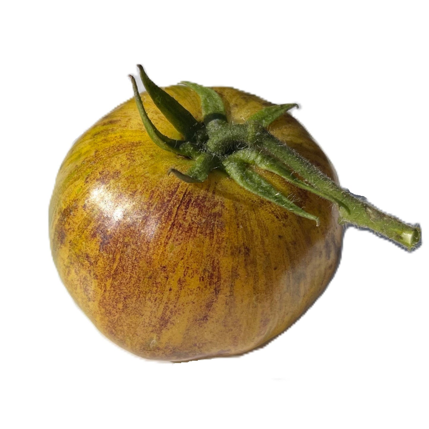 Primary Colours Tomato 20 Seeds