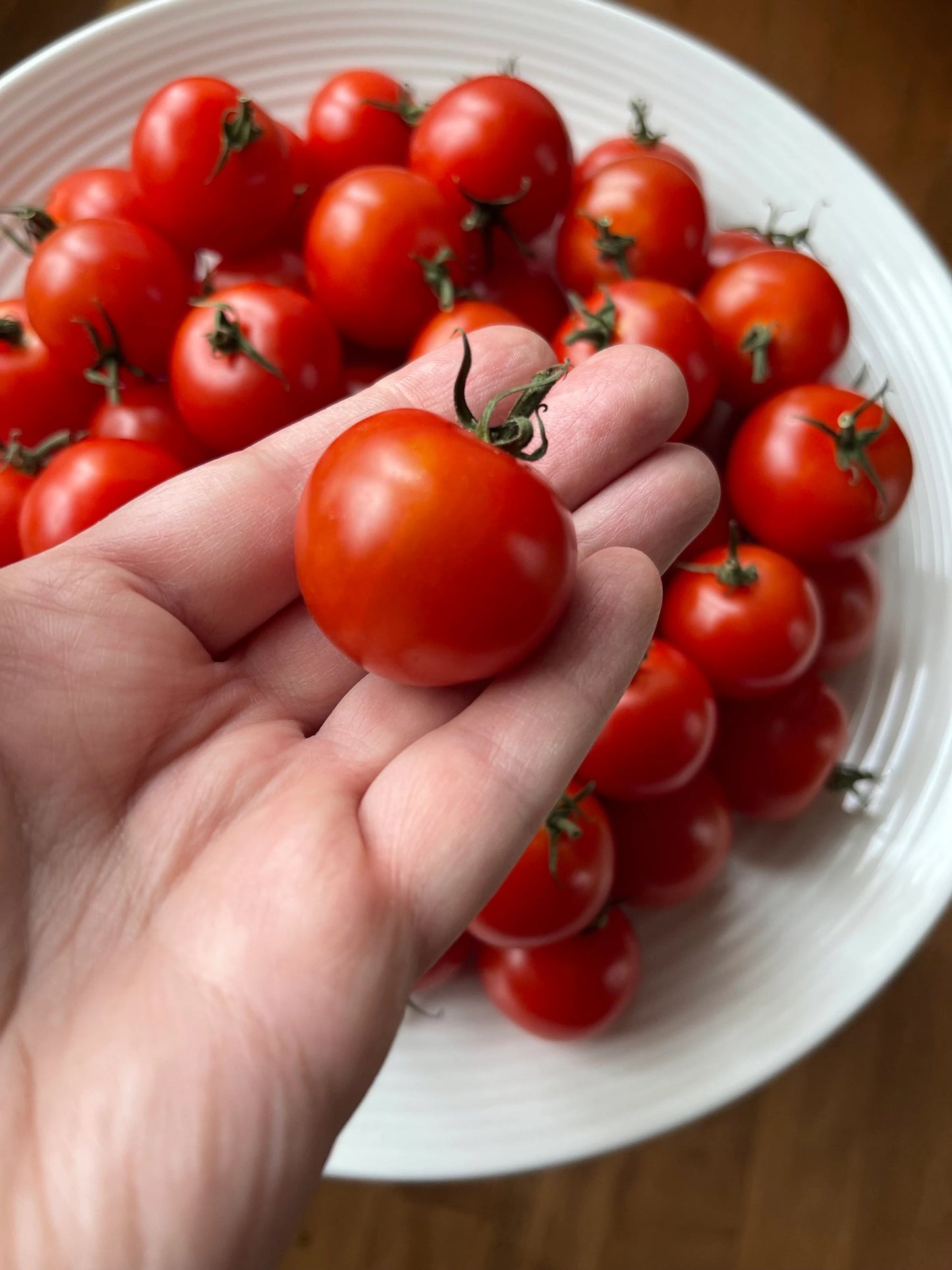 Cocktail Tomato 25 Seeds