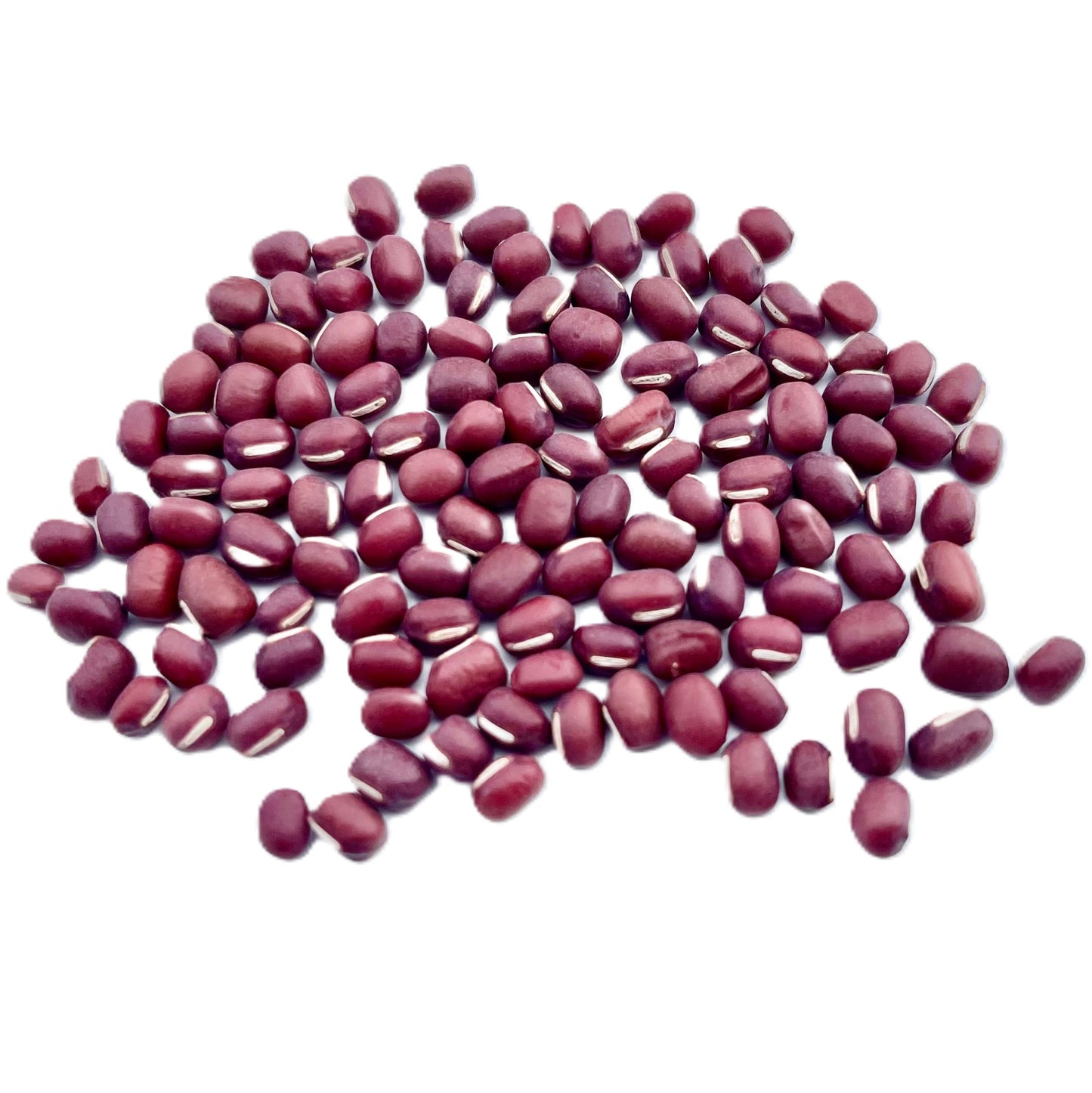 Adzuki Bean Seeds