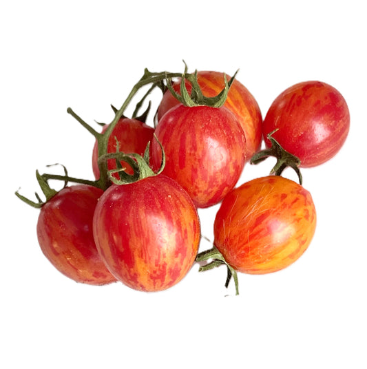 Bumble Bee Sunrise Cherry Tomato Seeds