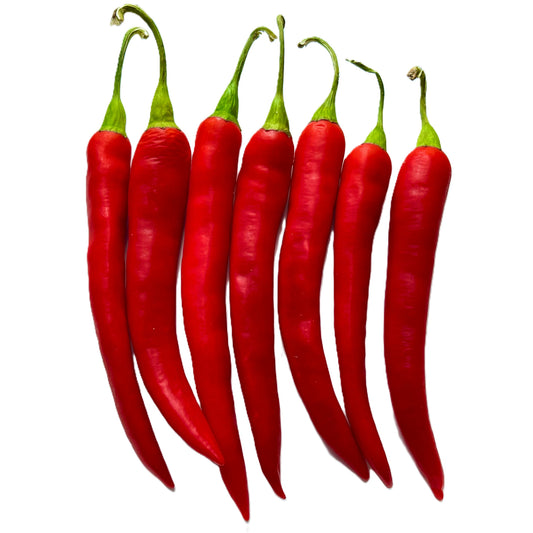 Long Red Cayenne Hot Pepper 35 Seeds