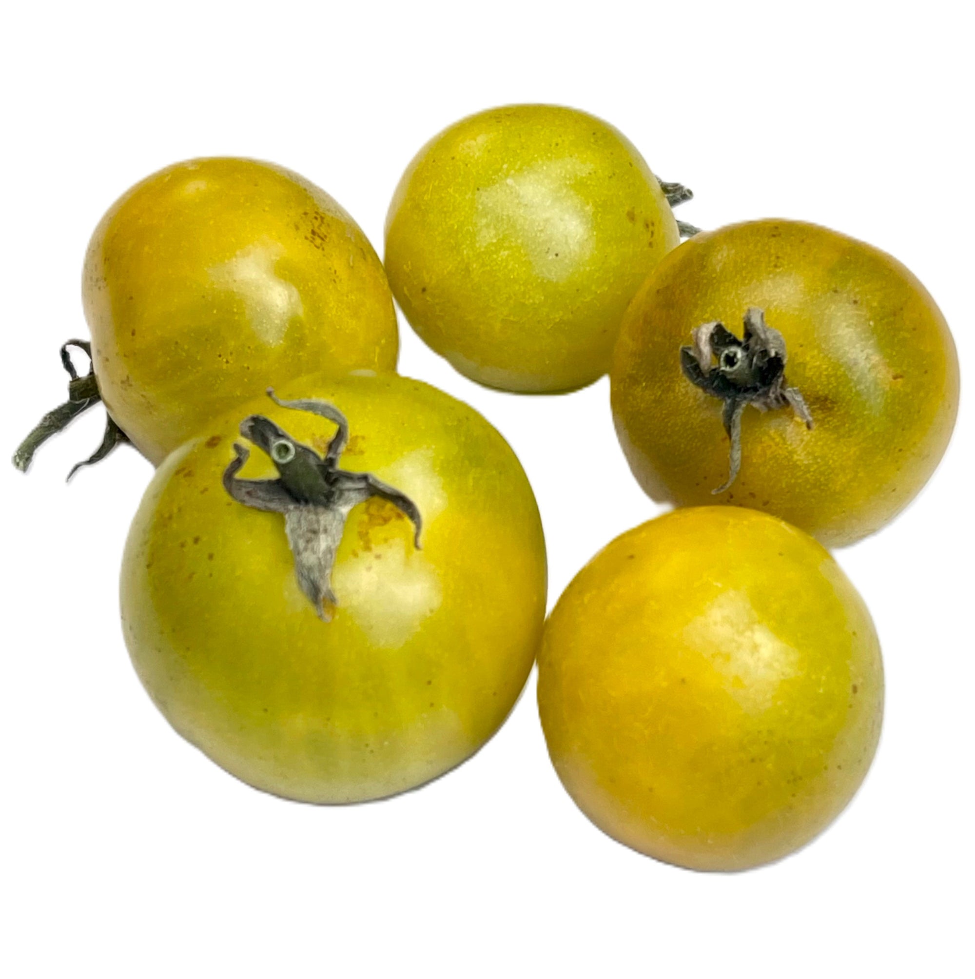 Fat Frog Micro Dwarf Tomato 20 Seeds – LIZA'S PLANTS YYC