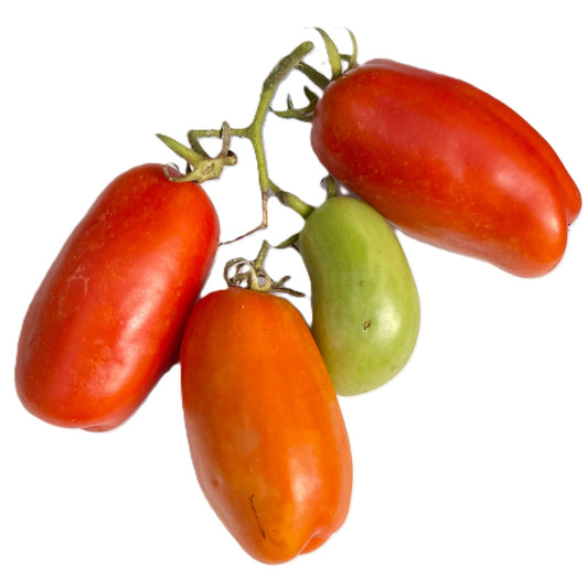 Firewood Tomato Seeds