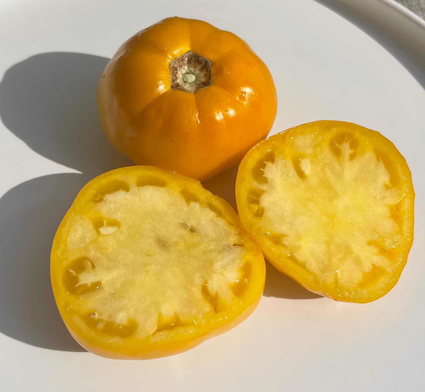 Golden Klusha Tomato 25 Seeds