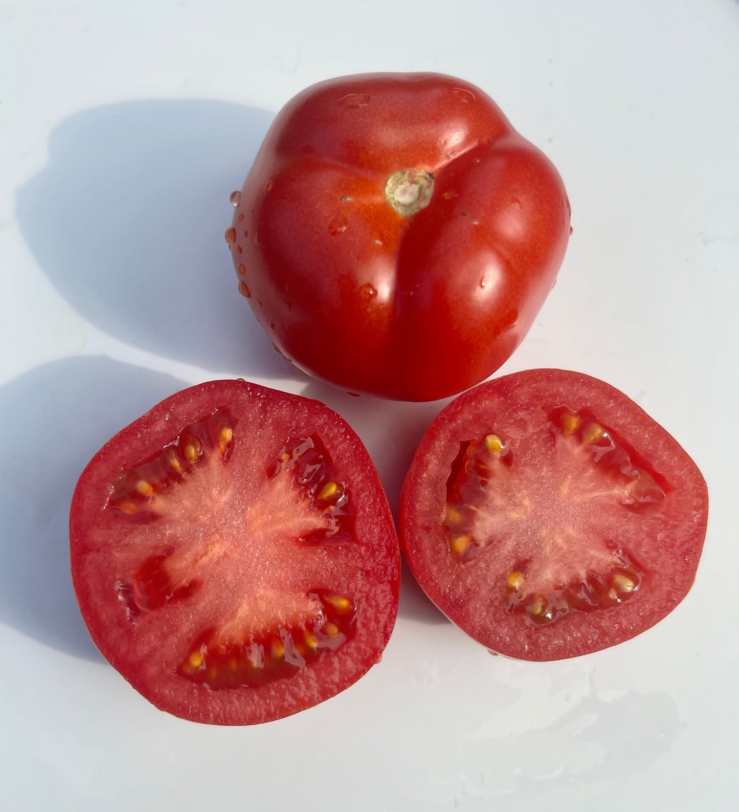 Little Sicily Tomato 25 Seeds