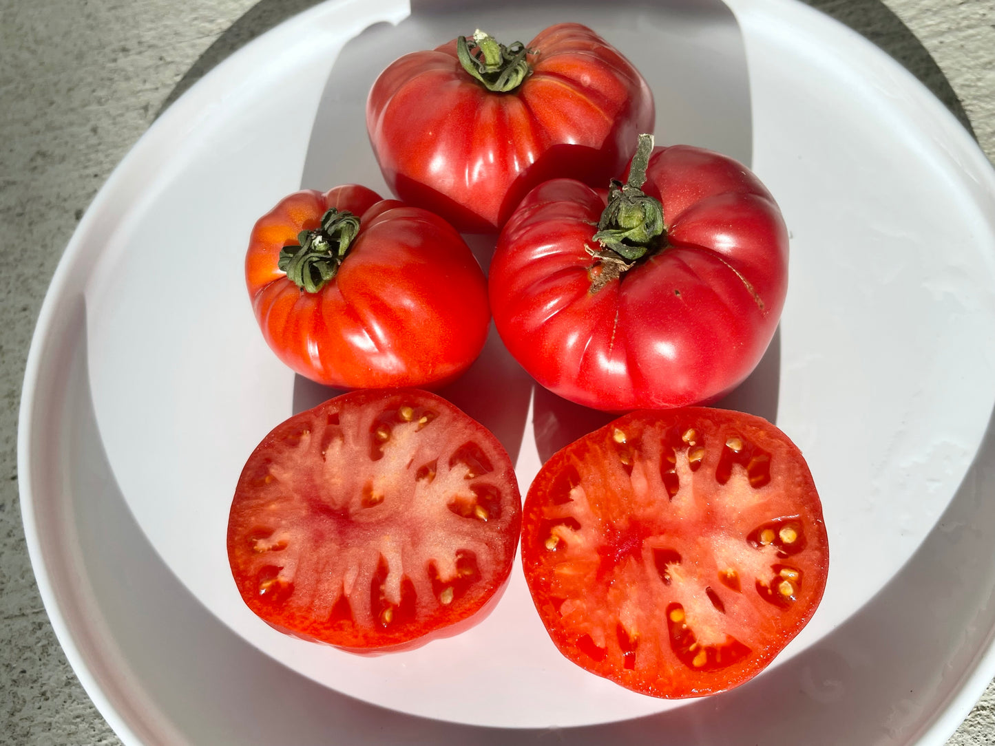 Wonderar Red Beefsteak Tomato 25 Seeds