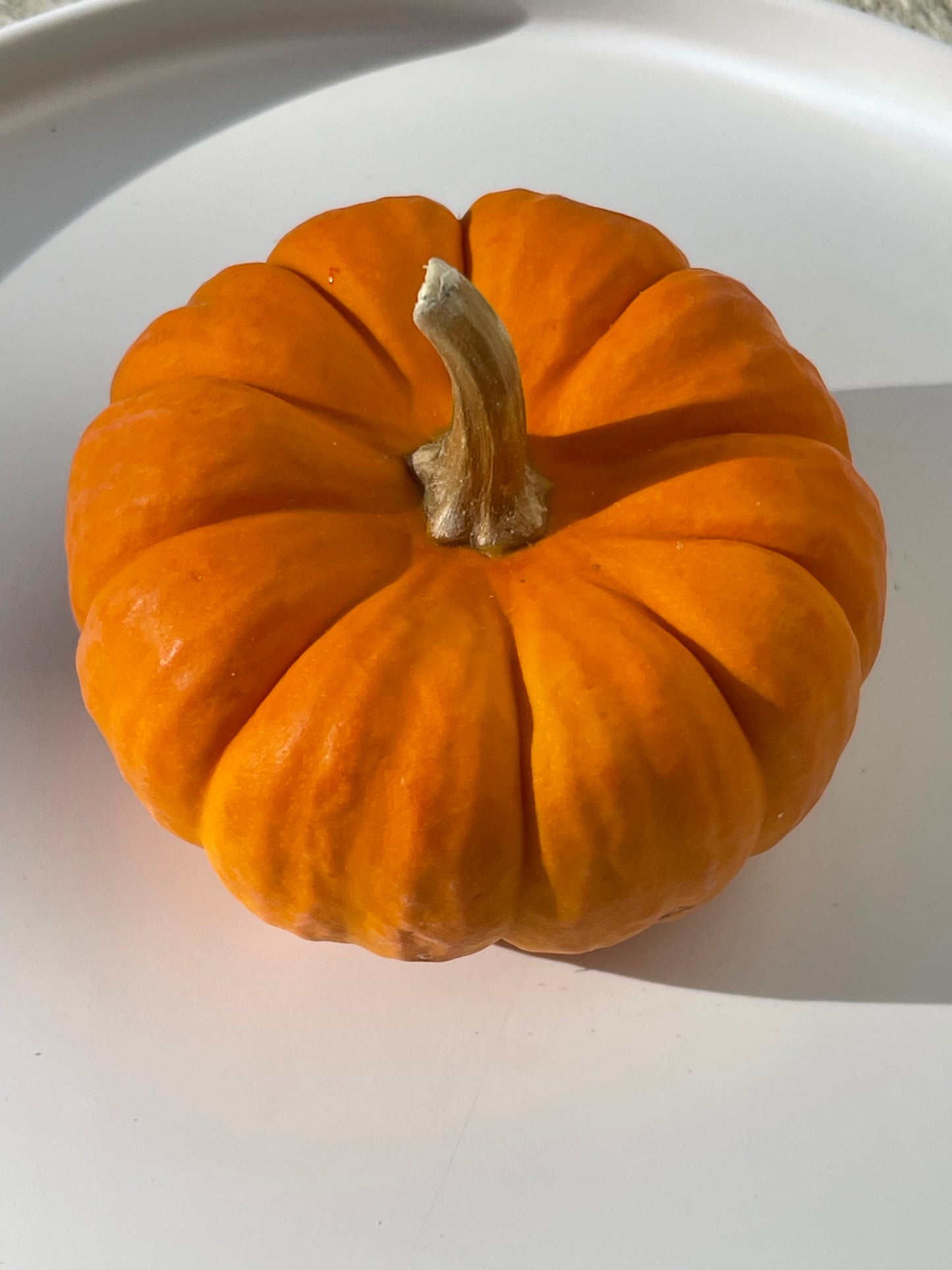 Jack Be Little Pumpkin 12 Seeds