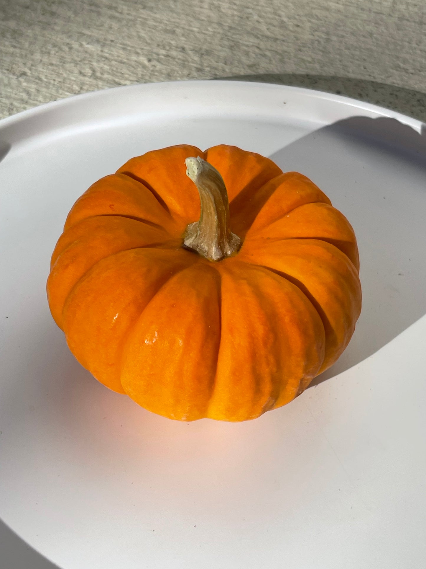 Jack Be Little Pumpkin 12 Seeds