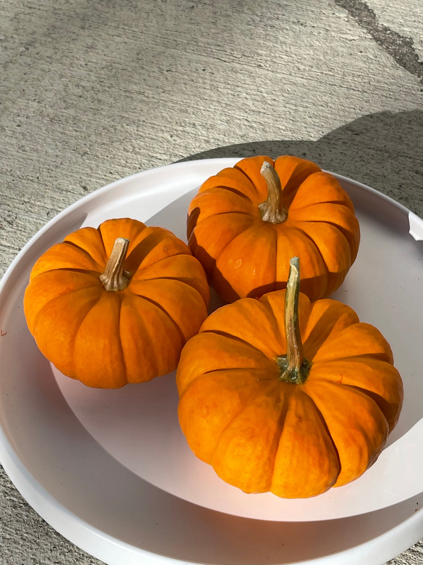 Jack Be Little Pumpkin 12 Seeds