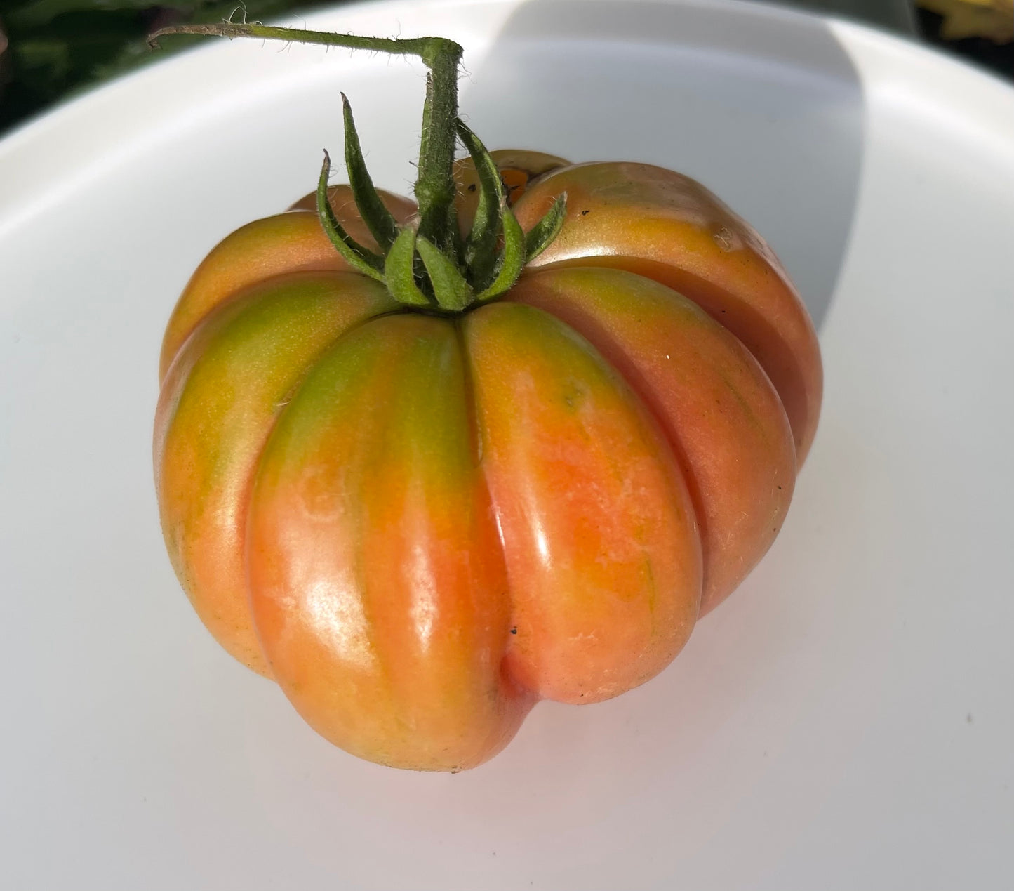 Mushroom Basket Tomato 10 Seeds