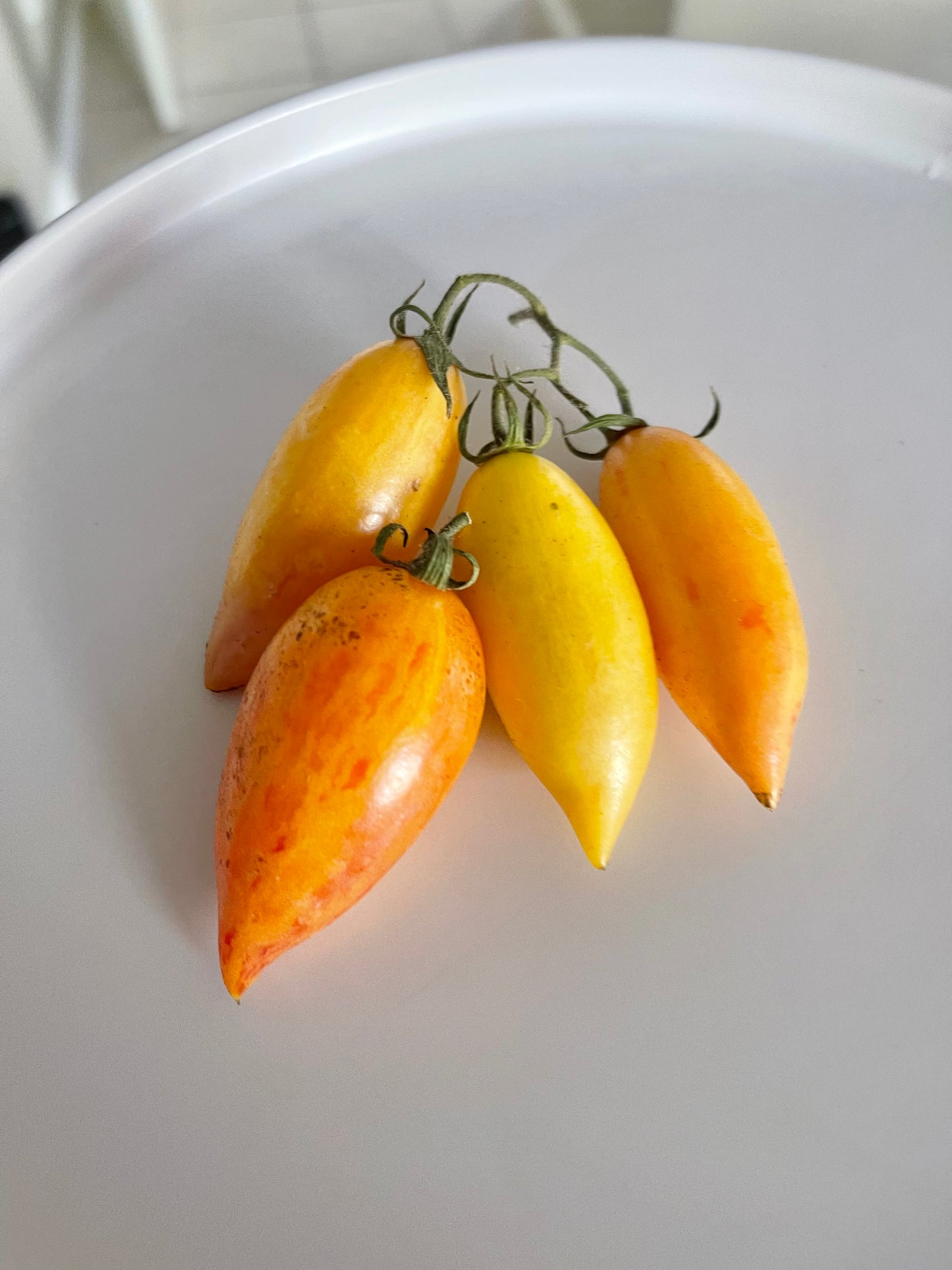 Sweet Cream Tomato 20 Seeds