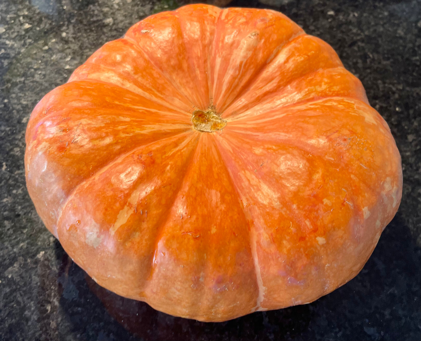 Shadow Moon Pumpkin 10 Seeds