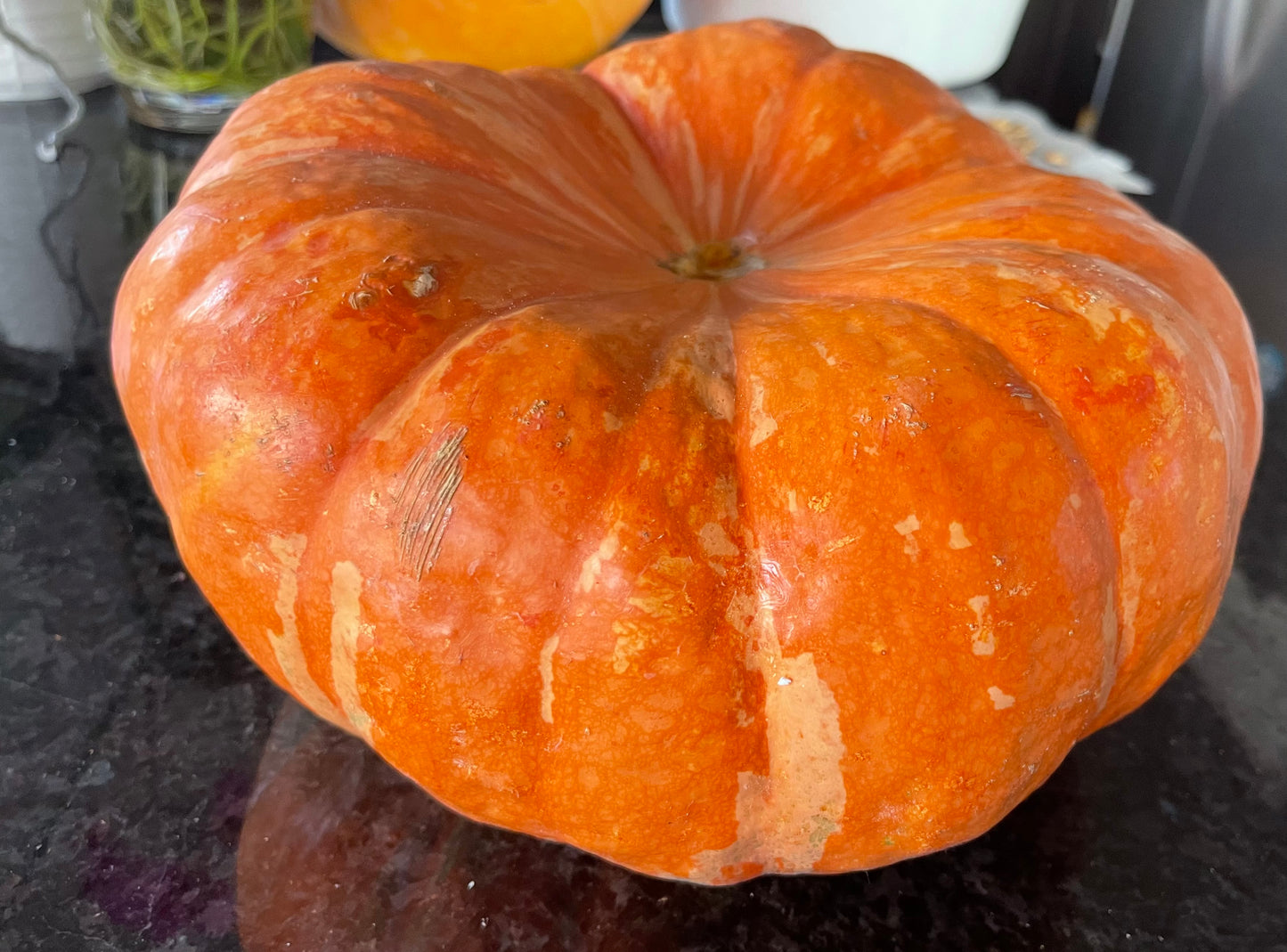 Shadow Moon Pumpkin 10 Seeds