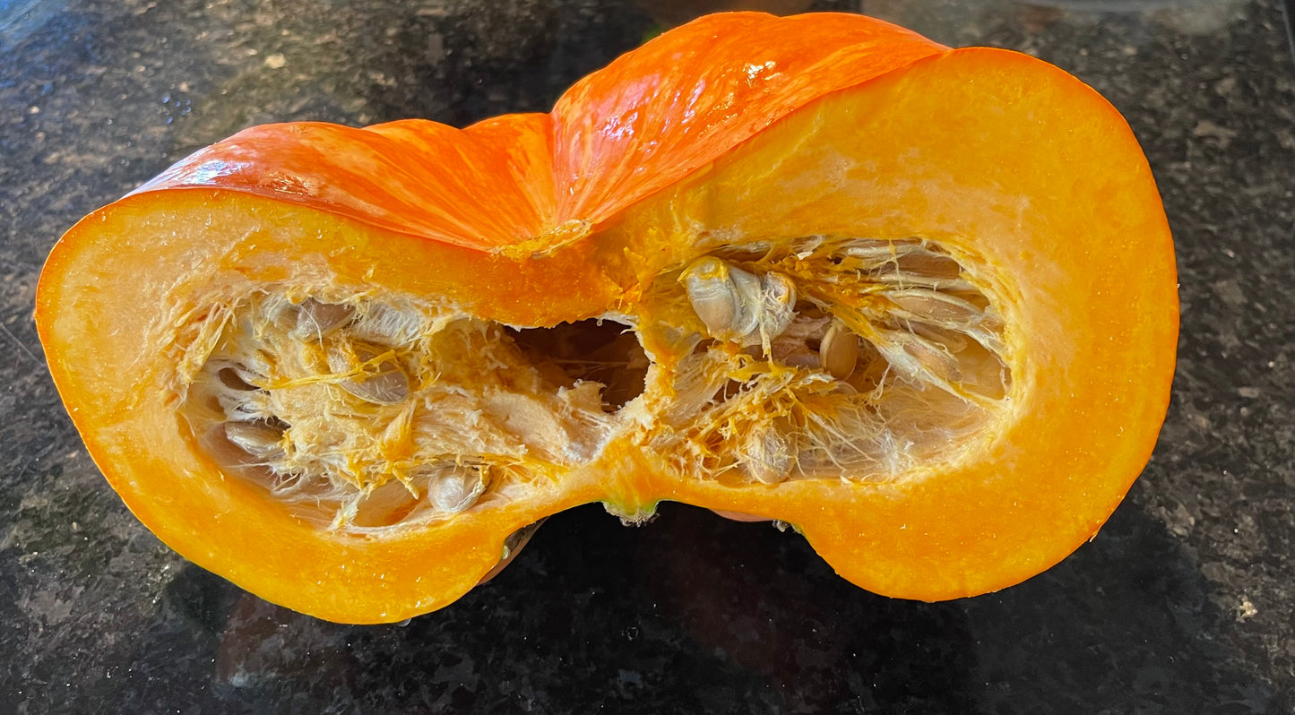 Shadow Moon Pumpkin 10 Seeds