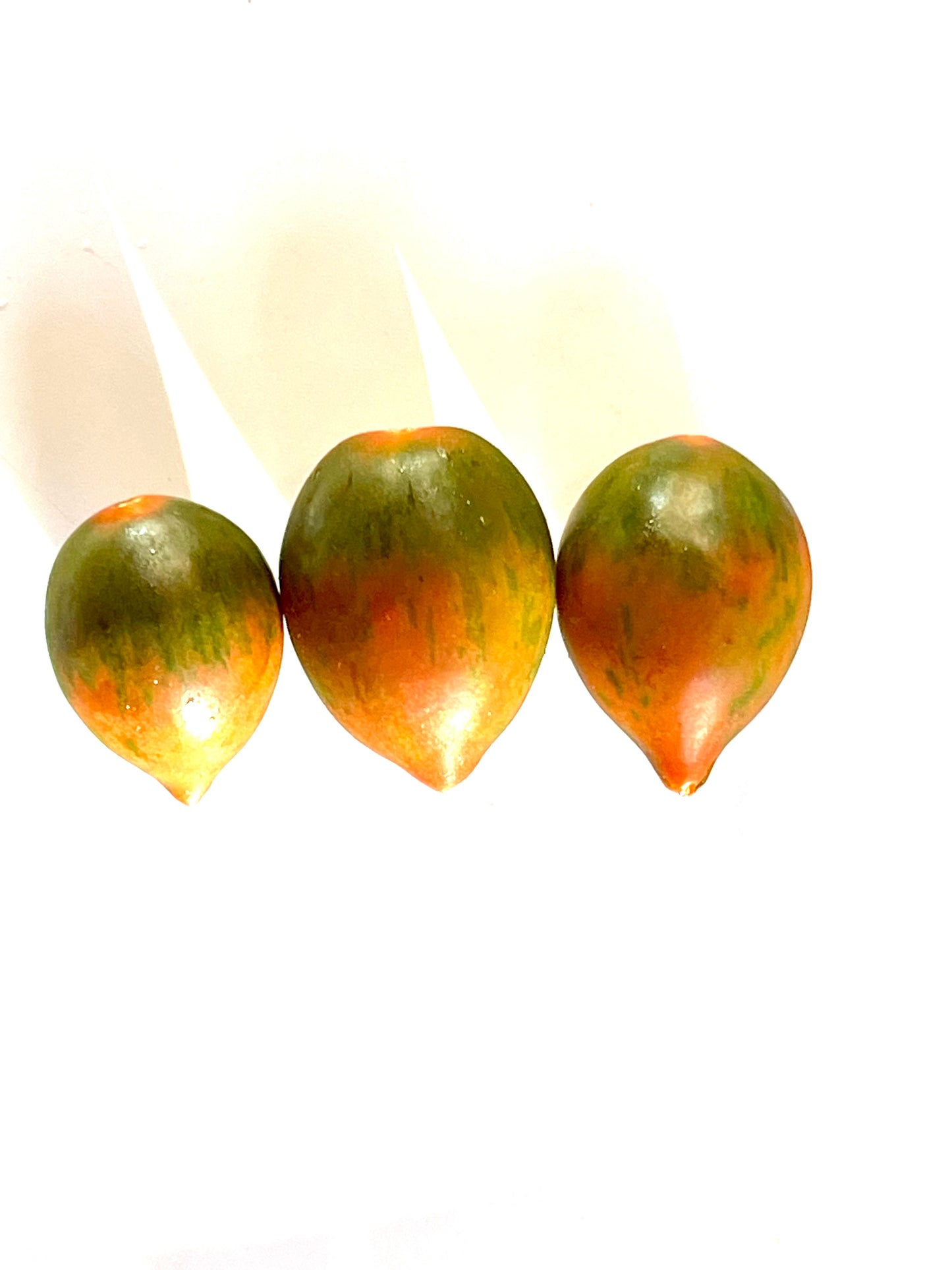 Chocolate Sprinkles Cherry Tomato 25 Seeds