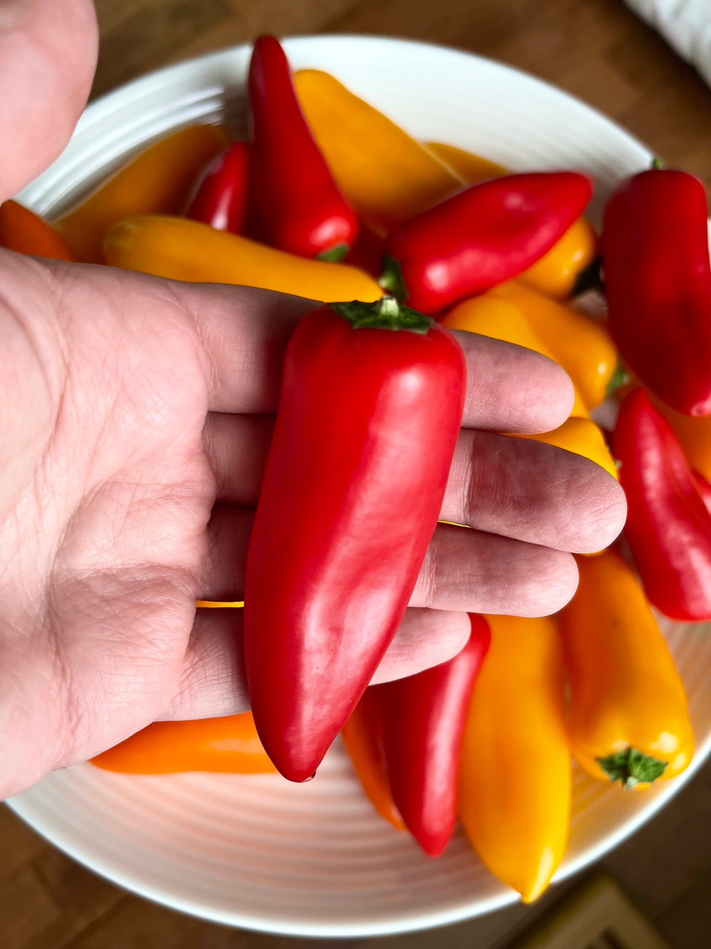 Lunchbox Pepper 50 Seeds