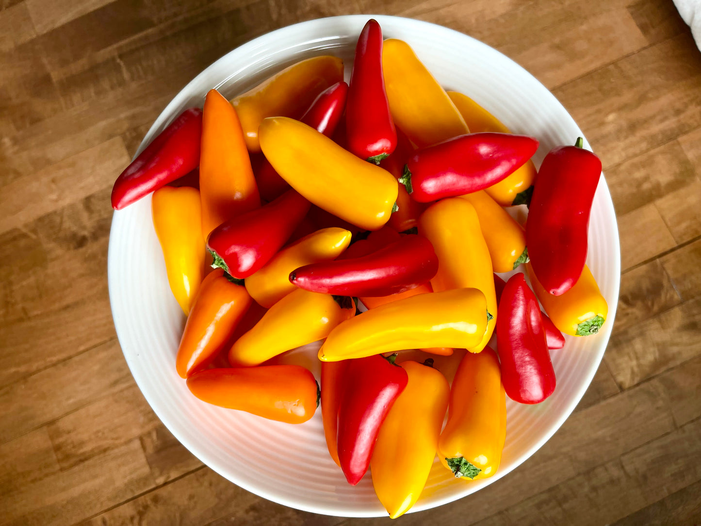 Lunchbox Pepper 50 Seeds