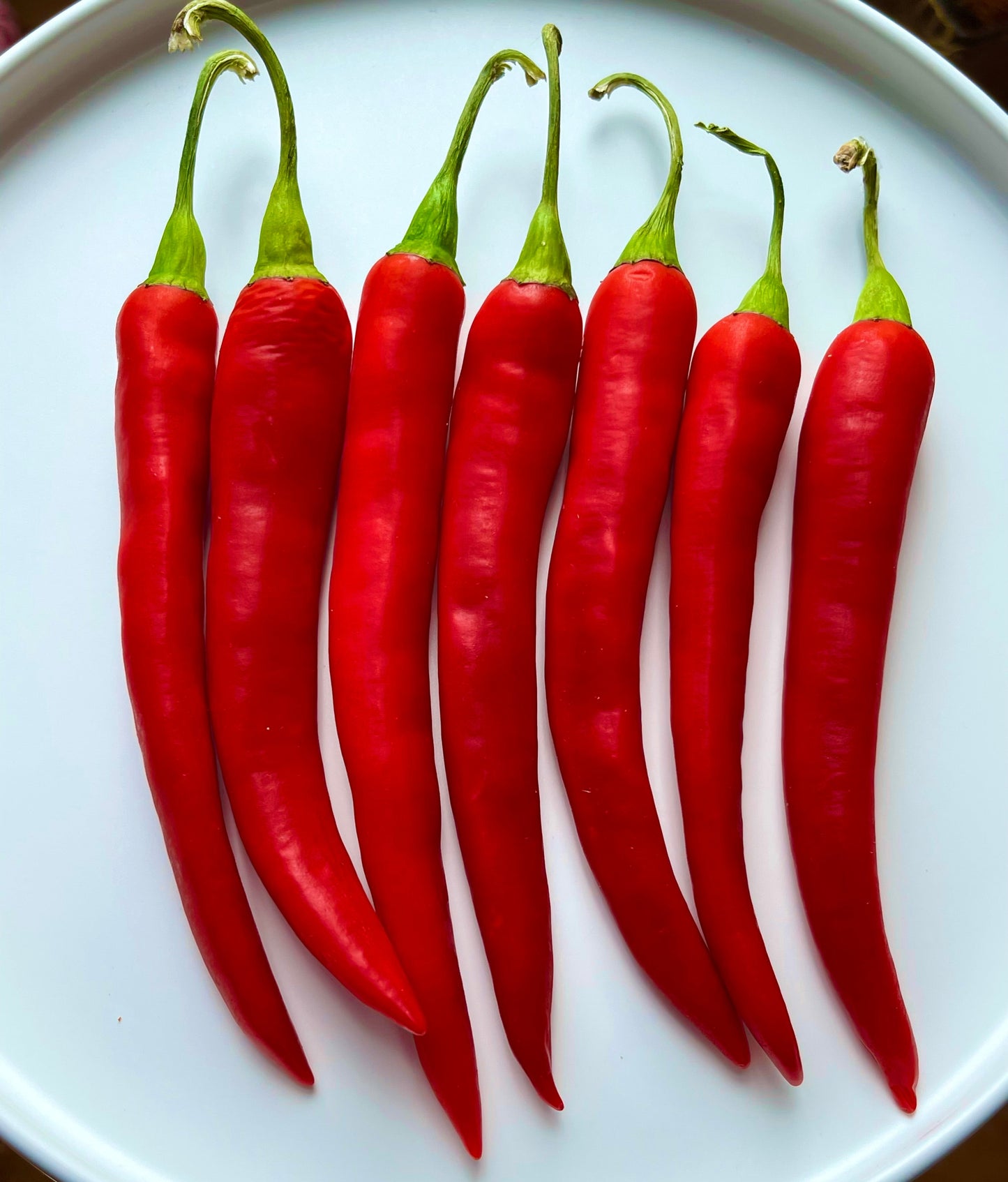 Long Red Cayenne Hot Pepper 35 Seeds